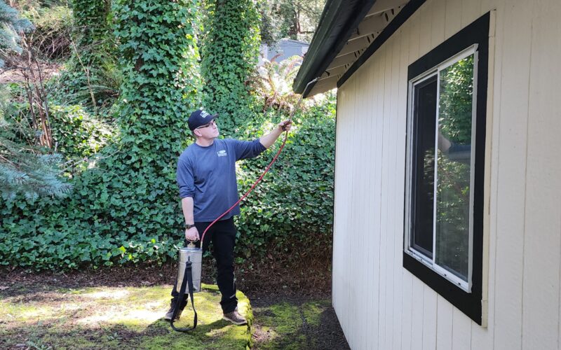 Home ESI Spraying Facia boards outside home