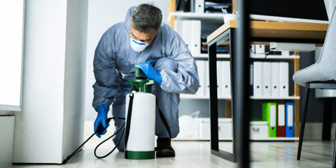Exterminator spraying next to base of floor with insect repellant